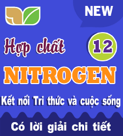 Hơp chất Nitrogen (KNTT)